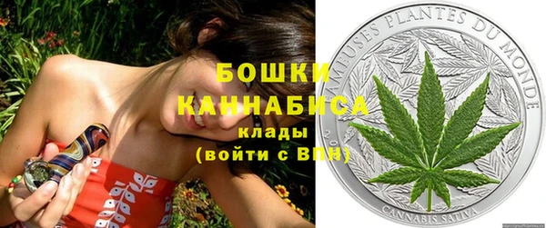 мяу мяу мука Белокуриха