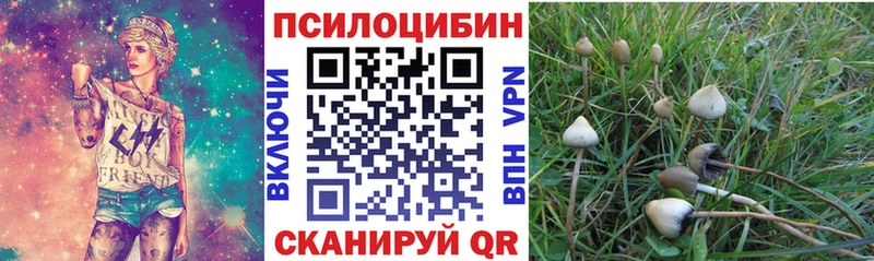 Псилоцибиновые грибы прущие грибы  где найти   Уяр 